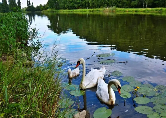 In Kladno With Private Pool * לאני